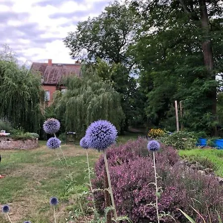 Gartenhutte - Schlafen Bei Den Schafen