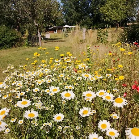Holiday home Gartenhutte - Schlafen Bei Den Schafen *
